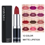 Best Matte Finish Lipstick